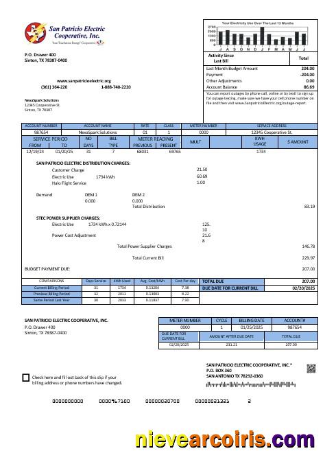USA Texas San Patricio Electric Corporative business utility bills